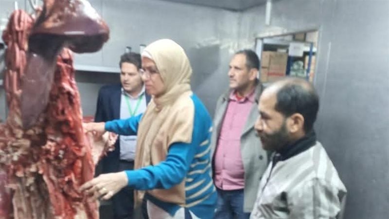 حملة تفتيشية