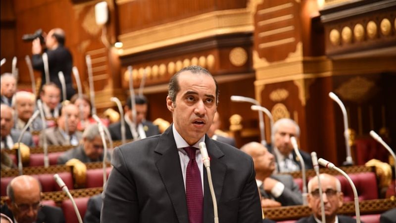 المستشار محمود فوزي