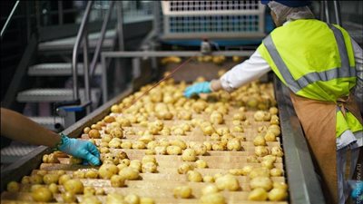 قفزة لصالح الفراعنة، الميزان التجاري بين مصر وبريطانيا في قطاع الصناعات الغذائية 