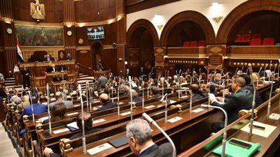 نائب أمام الشيوخ يطالب بتنويع مصادر الطاقة لخفض الانبعاثات الضارة