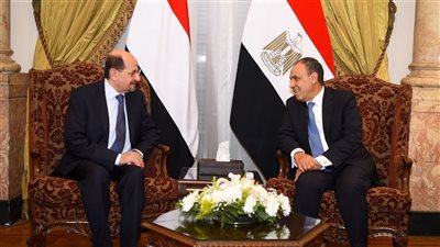 وزير الخارجية: مصر تؤيد كافة الجهود للتوصل إلى حل سياسي للأزمة اليمنية