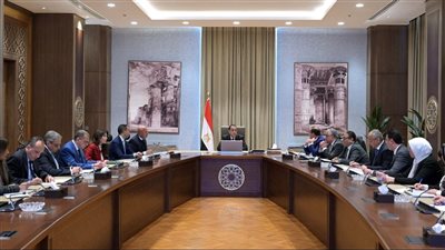 رئيس الوزراء يتابع جهود الحد من عمليات التهريب وإغراق الأسواق المصرية بالبضائع 