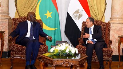وزير الخارجية يبحث مع نظيره الموريتاني تعزيز العلاقات التجارية والاقتصادية (صور)