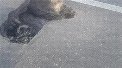 هبوط أرضي مفاجئ بالقليوبية (صور) 