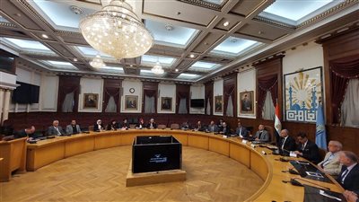 محافظ القاهرة يقرر تشكيل جهاز تنفيذي لمنطقة شق الثعبان