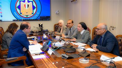 وزير المالية: حريصون على تشجيع الاستثمار في تحويل المخلفات إلى طاقة كهربائية