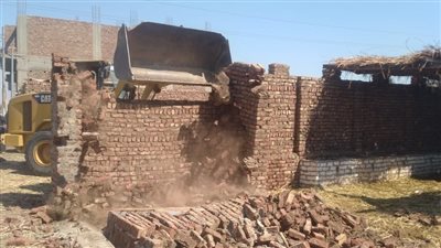 إزالة 3 حالات تعدٍّ على زراعات بأرمنت غرب الأقصر