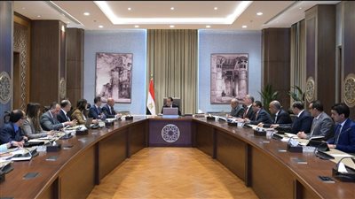 رئيس الوزراء يستعرض مشروعًا مقترحًا لإنتاج الهيدروجين والأمونيا الخضراء بخليج السويس