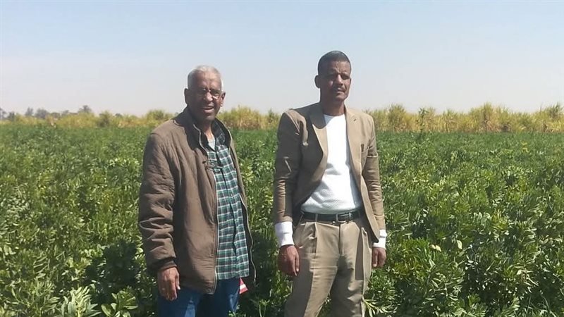 قنا،فيتو