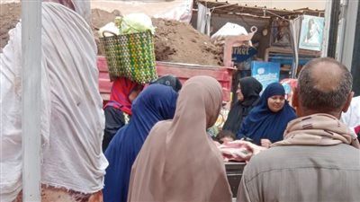محافظ الدقهلية: بيع كيلو اللحوم بسعر 260 جنيها بمركز ميت غمر 