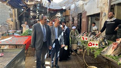 محافظ قنا يفتتح وحدة بيطرية جديدة بقرية أولاد عمرو لدعم الثروة الحيوانية