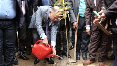 محافظ كفرالشيخ يزرع أشجارا مثمرة بمدرسة الرياض للتعليم الأساسي