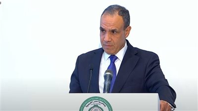 وزير الخارجية: التجويع عقاب غير مقبول وخطة إعمار غزة تحظى بدعم دولي