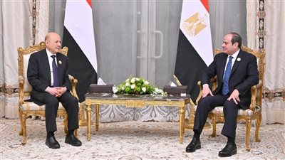  مصر واليمن تؤكدان أهمية وقف الهجمات ضد السفن التجارية في باب المندب