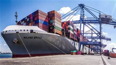 ميناء سفاجا يستقبل 1749 عجلًا من جيبوتي لتلبية احتياجات الأسواق في رمضان