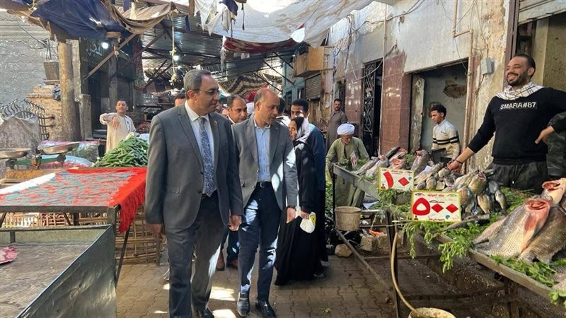 محافظ قنا في جولة