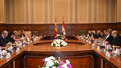 تفاصيل لقاء رئيس مجلس الشيوخ ونظيره الإسباني 