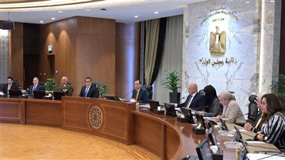 مجلس الوزراء يشيد ببيان القمة العربية بشأن اعتماد الخطة المصرية لإعمار غزة (صور) 