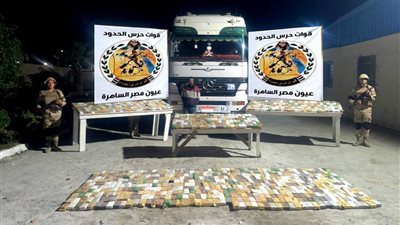 قوات حرس الحدود تواصل نجاحاتها في إحباط العديد من محاولات التهريب (فيديو)