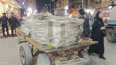 رئاسة مدينة الأقصر تنفذ حملات بيئية ضد نباشين القمامة