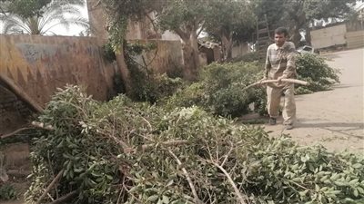 رئيس مدينة دسوق يتابع أعمال رفع مستوى النظافة وتحسين الخدمات