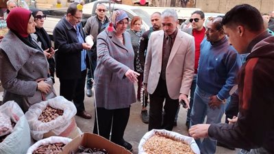 حملة تموينية مفاجئة لضبط الأسواق بحي المنتزه أول في الإسكندرية
