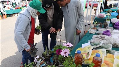 إقبال المواطنين على سوق المزارعين لليوم الواحد بالإسكندرية 