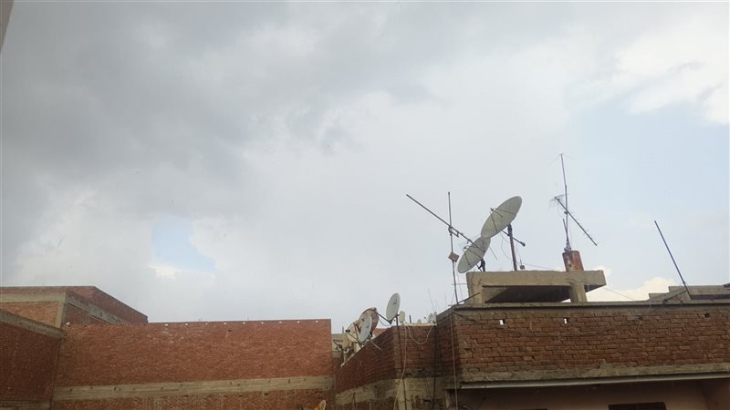 سقوط أمطار، فيتو