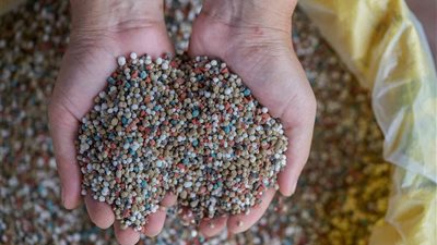 طن السلفات يتراجع 1043 جنيها، أسعار الأسمدة اليوم في الأسواق