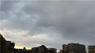 انخفاض ملحوظ مع رياح شديدة، حالة الطقس اليوم بمحافظة البحيرة (فيديو وصور)