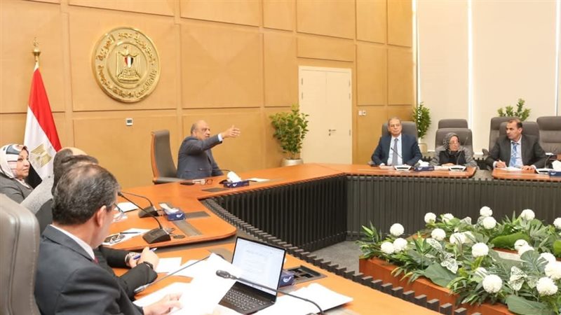 وزير الكهرباء، فيتو