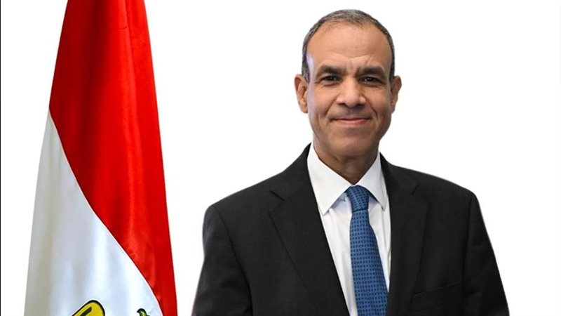 بدر عبد العاطي وزير