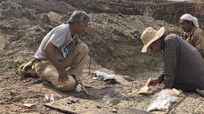 دراسة: الأدوات العظمية ظهرت قبل وقت طويل مما كان يعتقد سابقا