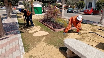 بدء أعمال التجميل بشارع عرابي في محافظة الإسماعيلية (صور) 