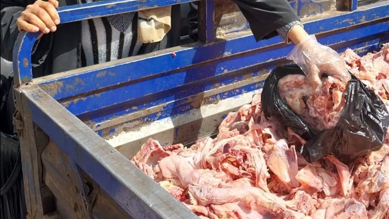 ضبط دواجن فاسدة 