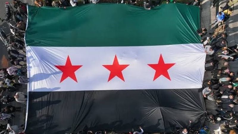 علم سوريا، فيتو