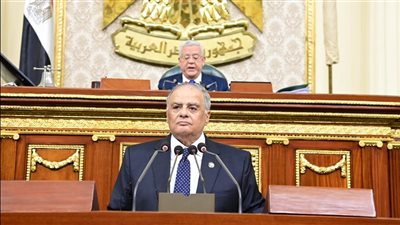 النواب يقر اتفاقية نقل المحكوم عليهم مع الإمارات