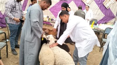 بيطري الأقصر يحصن 56 ألف حيوان وطائر ضد الأمراض خلال شهرين 