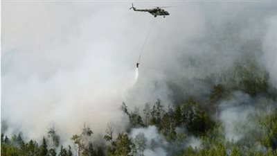 نيويورك تعلن حالة الطوارئ بعد اندلاع حرائق غابات