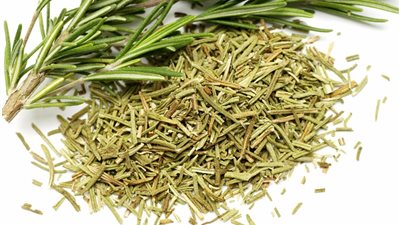 فوائد الروزماري للشعر، الحل السحري لصحته ولمعانه