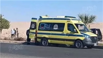 بالأسماء، إصابة 9 عمال في حادث تصادم بالبحيرة