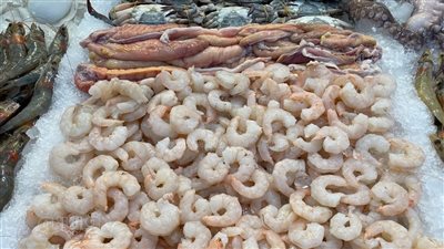 سعر السمك اليوم، الجمبري يرتفع 40 جنيهًا في سوق العبور