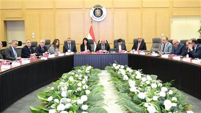 وزير الصناعة: إعادة تخطيط منطقة الحرش بقرية البياضية بالقنطرة غرب 