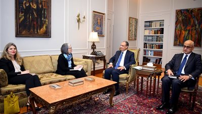 وزير الخارجية: مصر لديها الإمكانيات للتحول إلى مركز إقليمى لإدارة عمليات المنظمات الإغاثية 