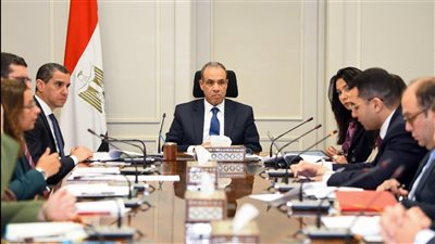 الترويج لمصر كمركز لوجيستي عالمي، تفاصيل لقاء وزير الخارجية بقيادات القطاع الاقتصادي 