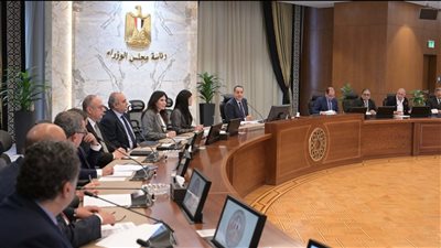 مدبولي: خطة واضحة بالجمارك لخدمة قطاع الاستيراد والتصدير