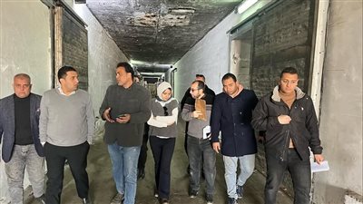 ضبط 10 أطنان لحوم مستوردة منتهية الصلاحية بالقليوبية