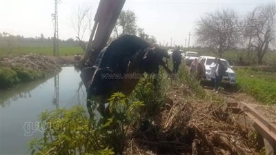 رفع حيوانات نافقة من ترعة السنطة حفاظًا على البيئة والصحة العامة (صور)