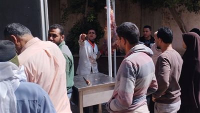 إقبال ليلي على قافلة سيارات اللحوم بسعر 260 جنيهًا للكيلو في المنصورة 