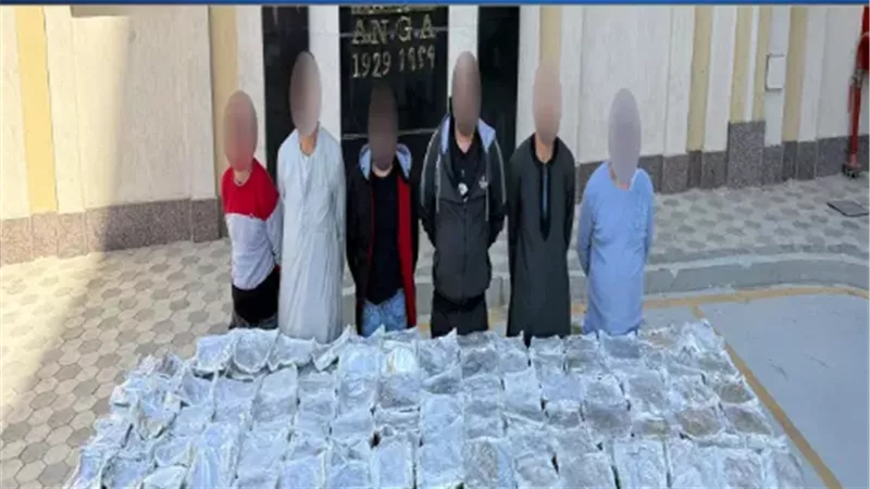 سقوط تشكيل عصابى